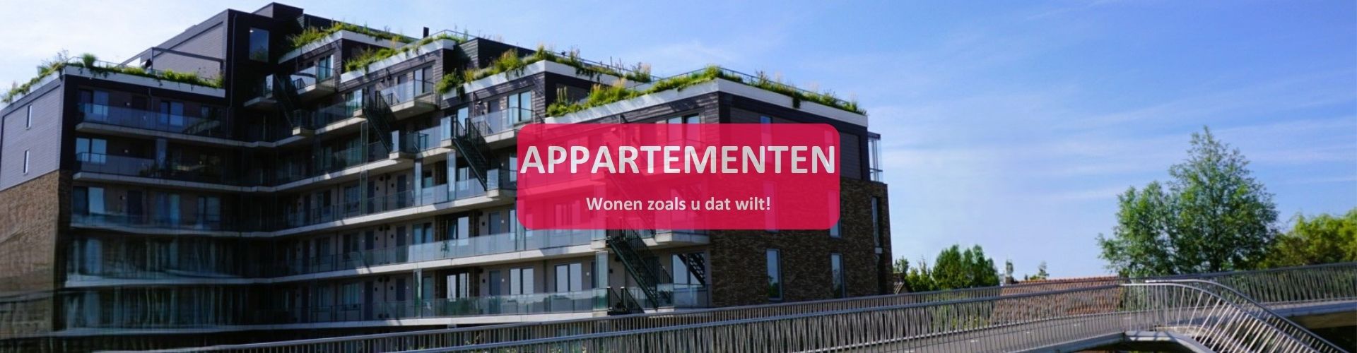 Home%20pagina%20nieuw%202 Home%20pagina%20nieuw%202